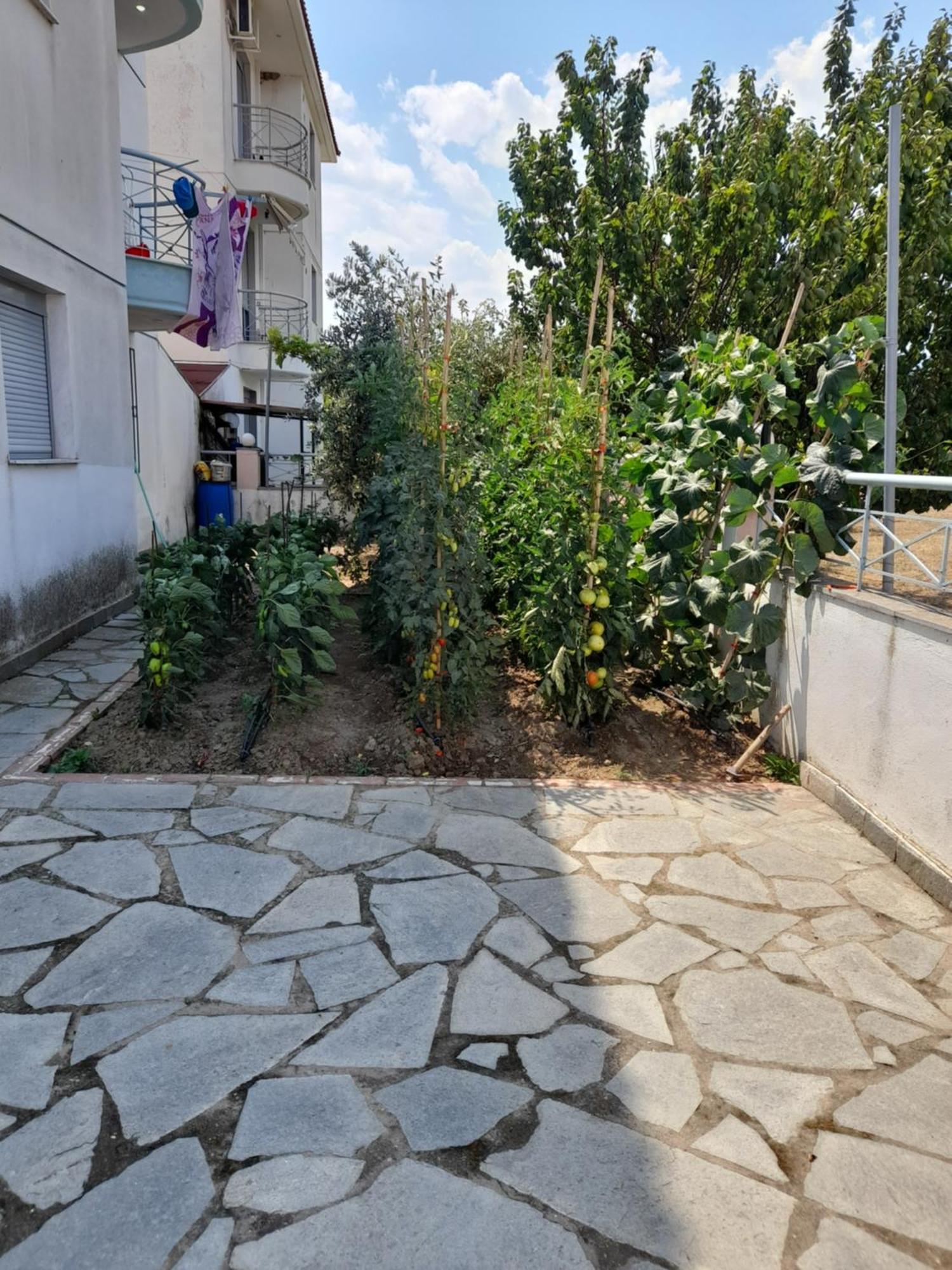 Dominikis Appartment Nea Peramos  Exterior photo